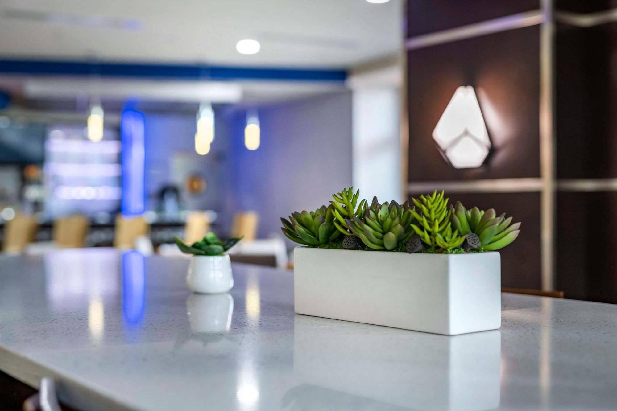 Cambria Hotel Ft Lauderdale, Airport South & Cruise Port Dania Beach Εξωτερικό φωτογραφία